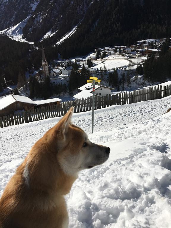 Pension Alpenrose Sankt Sigmund im Sellrain Buitenkant foto