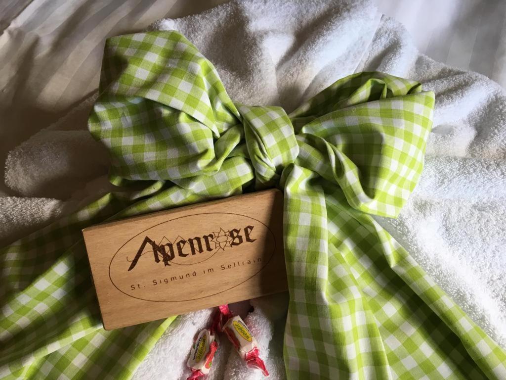 Pension Alpenrose Sankt Sigmund im Sellrain Buitenkant foto