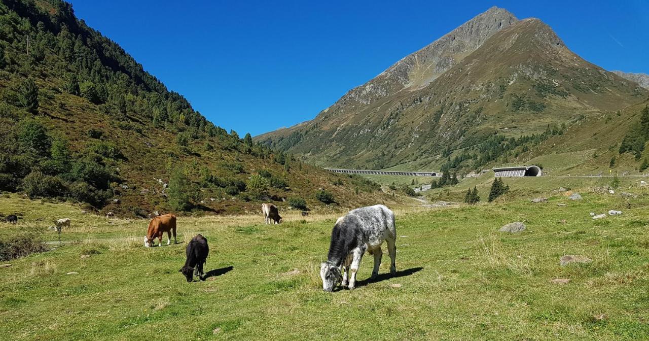 Pension Alpenrose Sankt Sigmund im Sellrain Buitenkant foto