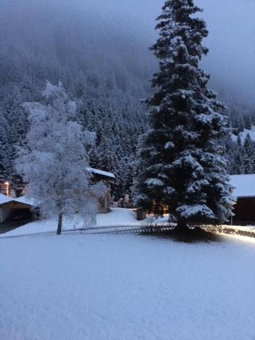 Pension Alpenrose Sankt Sigmund im Sellrain Buitenkant foto